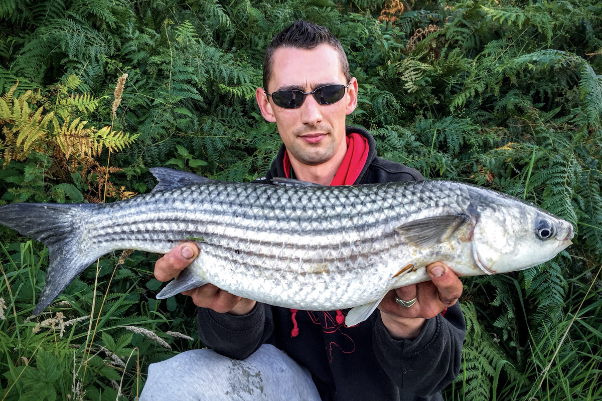 صيد سمك بوري